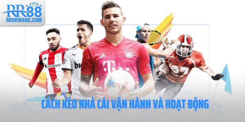 Nắm Chắc Tỷ Lệ Kèo Nhà Cái – Bí Quyết Làm Chủ Cá Cược Thể Thao