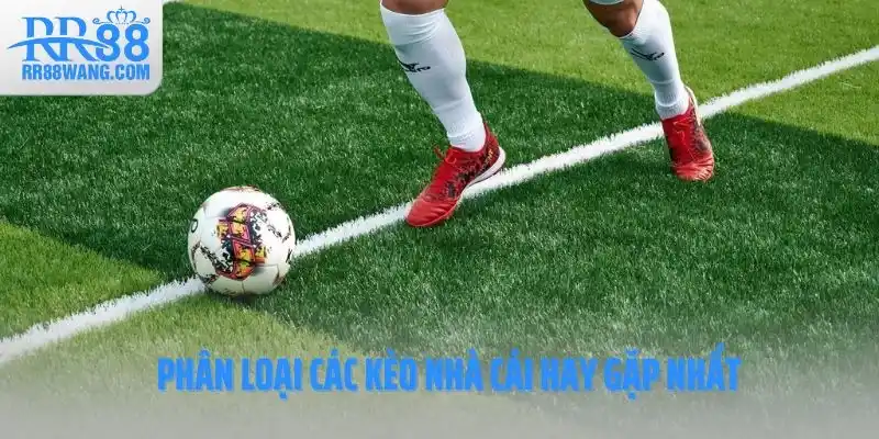 Nắm Chắc Tỷ Lệ Kèo Nhà Cái – Bí Quyết Làm Chủ Cá Cược Thể Thao