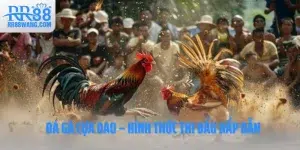 Tin Tức RR88 – Thông Tin Đa Chiều Cho Người Chơi Mới 2026