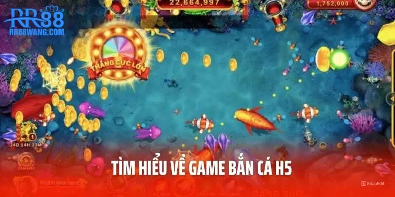 Bắn Cá H5 – Sân Chơi Hấp Dẫn Dành Cho Những Tay Săn Can Đảm Bắn Cá H5 – Sân Chơi Hấp Dẫn Dành Cho Những Tay Săn Can Đảm