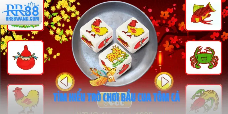 Bầu Cua Tôm Cá – Trò Chơi Giải Trí Dân Gian Hấp Dẫn Tại RR88