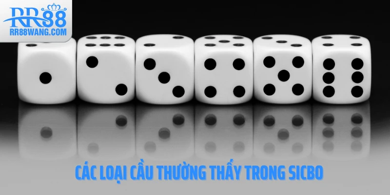 Hé Lộ Cách Soi Cầu Sicbo Giúp Đọc Vị Bàn Cược Chỉ 5 Phút