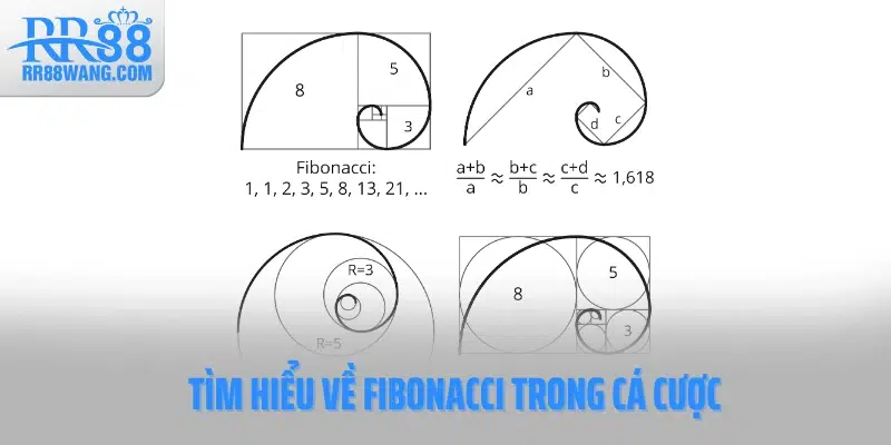 Fibonacci - Bí Quyết Gỡ Lỗ An Toàn Nhờ Chuỗi Số Vàng