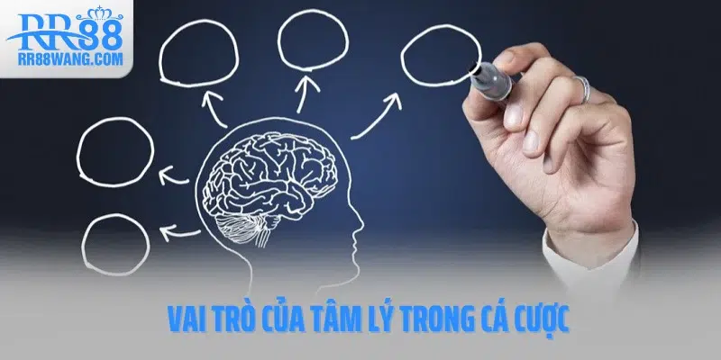 Tâm Lý Cá Cược: Vũ Khí Thầm Lặng Quyết Định Thắng Bại