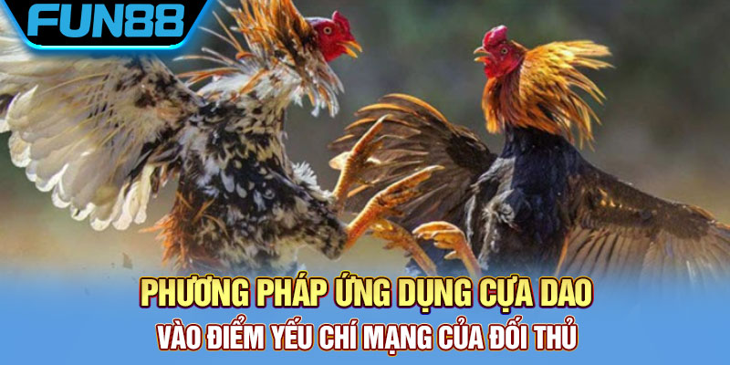 Cựa Dao Gà Đá Là Gì? Khám Phá Về Thiên Đường Đá Gà Cực Chất