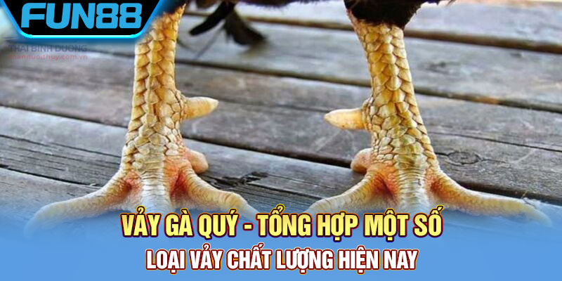 Vảy Gà Quý - Tổng Hợp Một Số Loại Vảy Chất Lượng Hiện Nay