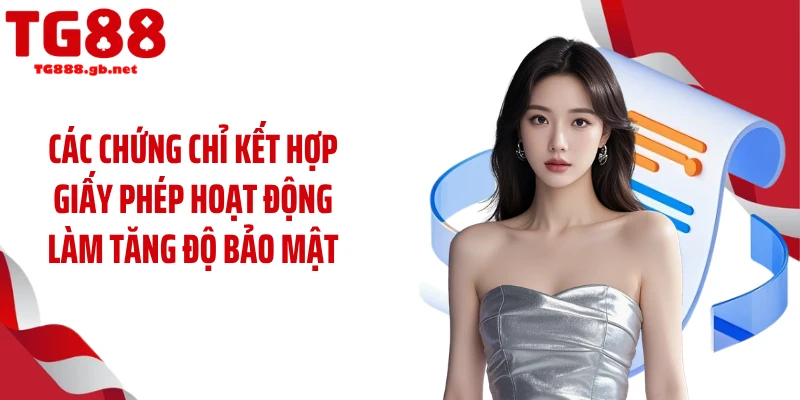 Giấy Phép Hoạt Động TG88 - Loạt Giấy Chứng Nhận Từ Quốc Tế