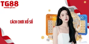 Blog Cá Cược TG88 - Cộng Đồng Truy Cập Theo Dõi Mỗi Ngày