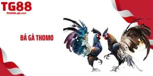 Blog Cá Cược TG88 - Cộng Đồng Truy Cập Theo Dõi Mỗi Ngày