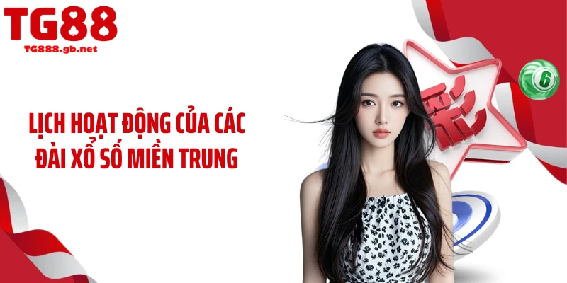 Xổ Số Miền Trung TG88 Gây Sốt Với Tỷ Lệ Trúng Cao