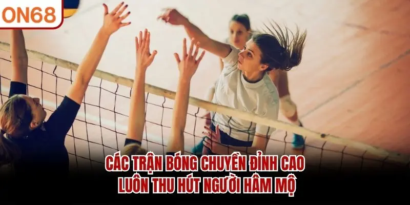 Thể Thao ON68 Và Những Sảnh Cược Hấp Dẫn Nhất Hiện Nay