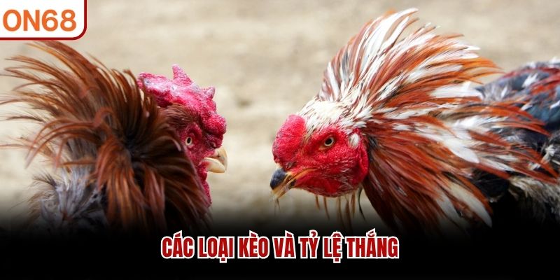 Đá Gà ON68 Trực Tuyến Đỉnh Cao - Thử Thách Mọi Chiến Kê