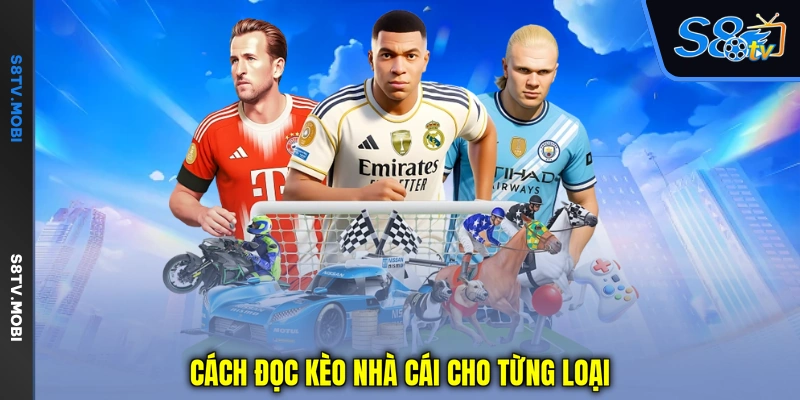 Cách Đọc Kèo Nhà Cái - Hướng Dẫn Hiểu Tỷ Lệ Bóng Đá Dễ