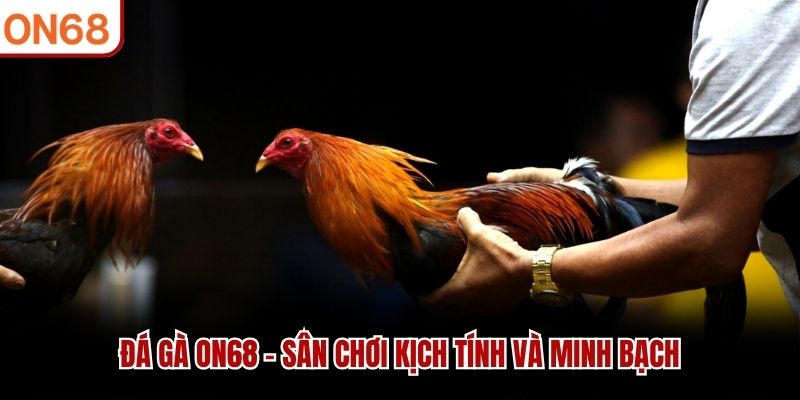 Đá Gà ON68 Trực Tuyến Đỉnh Cao - Thử Thách Mọi Chiến Kê